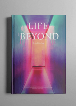 Без названия