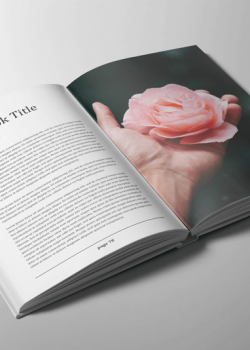 Без названия